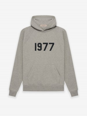 Essentials 1977 Hoodie Dunkel | 3047-HPXSD