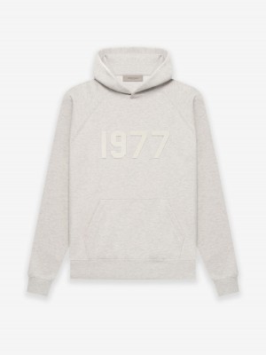 Essentials 1977 Hoodie Gray | 4803-CGXWU