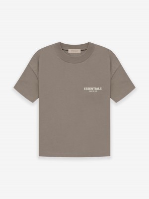 Essentials Fear of God T-shirts Gray | 4289-RNAFI